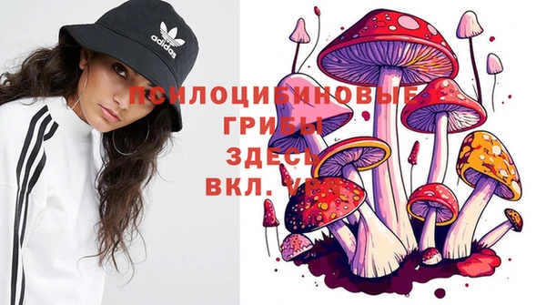 шишки Алексеевка